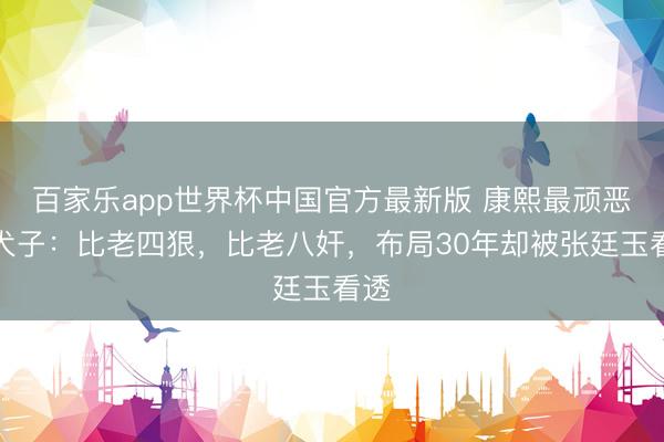 百家乐app世界杯中国官方最新版 康熙最顽恶的犬子：比老四狠，比老八奸，布局30年却被张廷玉看透
