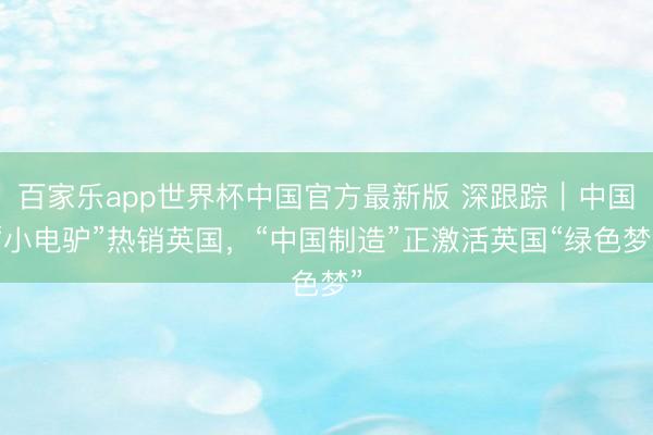 百家乐app世界杯中国官方最新版 深跟踪｜中国“小电驴”热销英国，“中国制造”正激活英国“绿色梦”